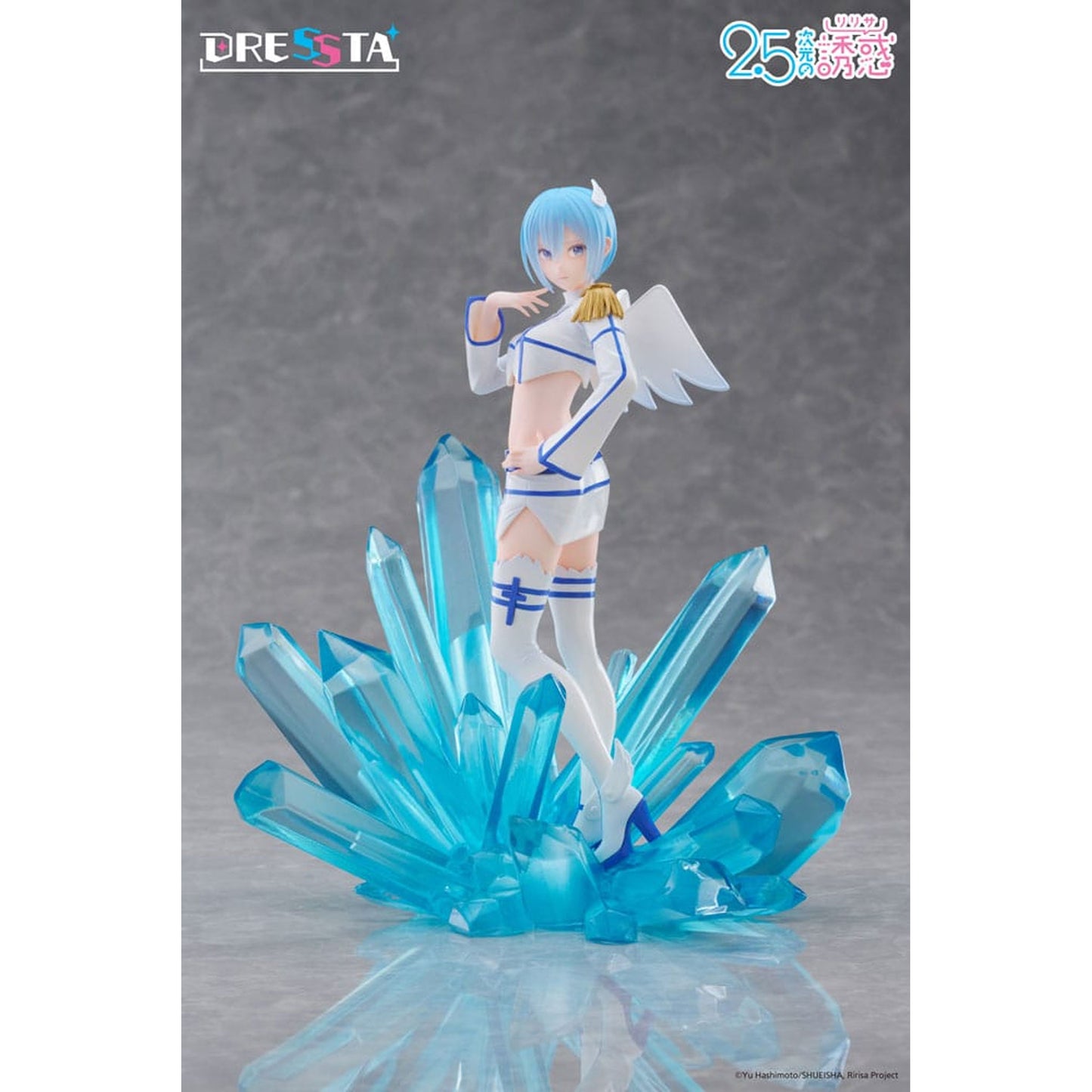 2.5 Dimensional Seduction Dressta Nokiel