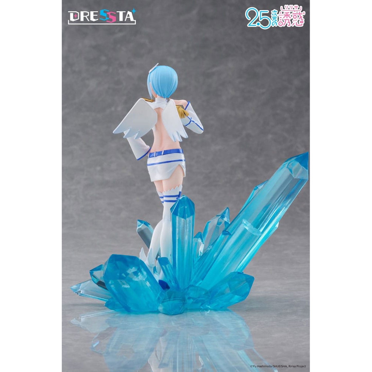 2.5 Dimensional Seduction Dressta Nokiel