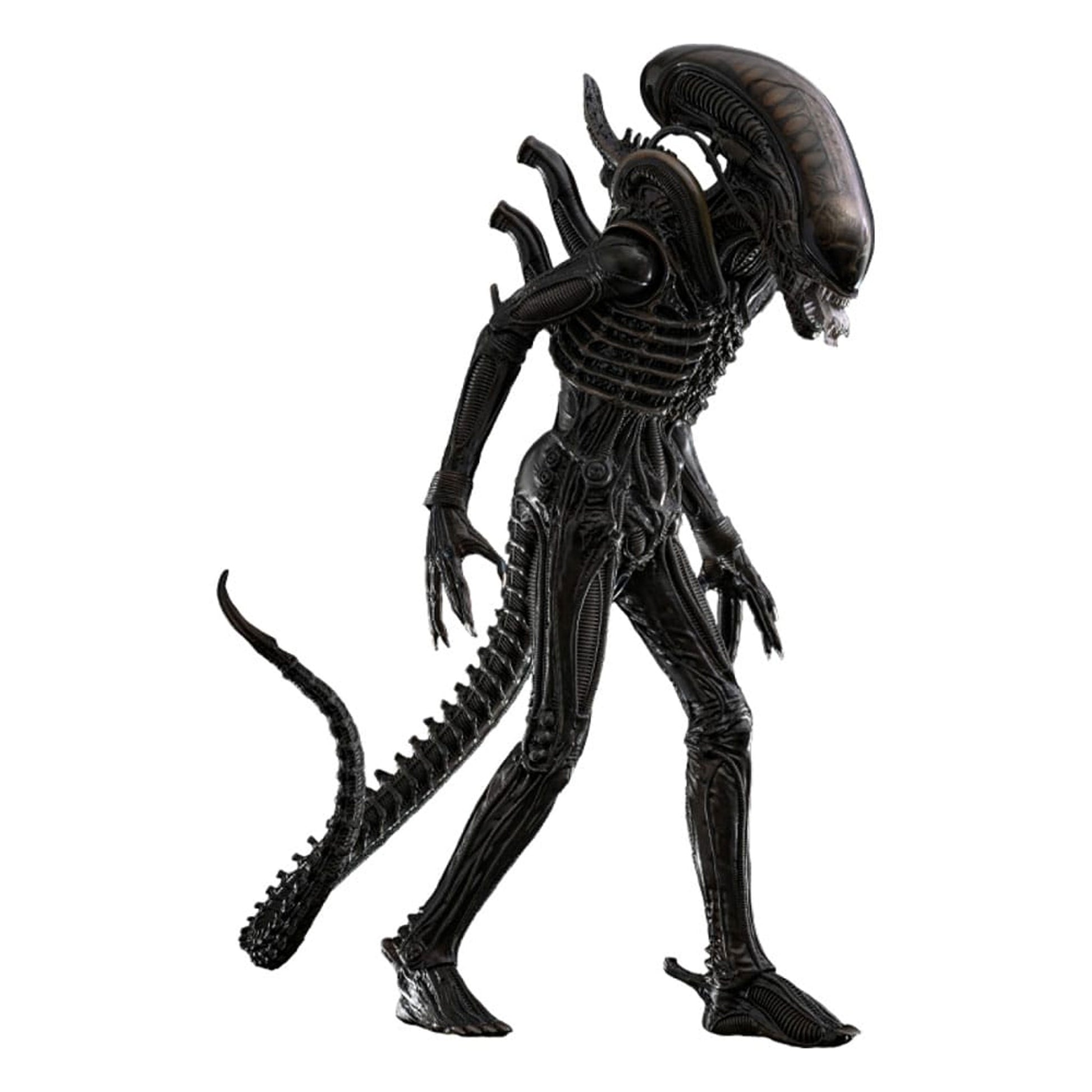Alien Movie Masterpiece 1/6 Big Chap -Action Figure