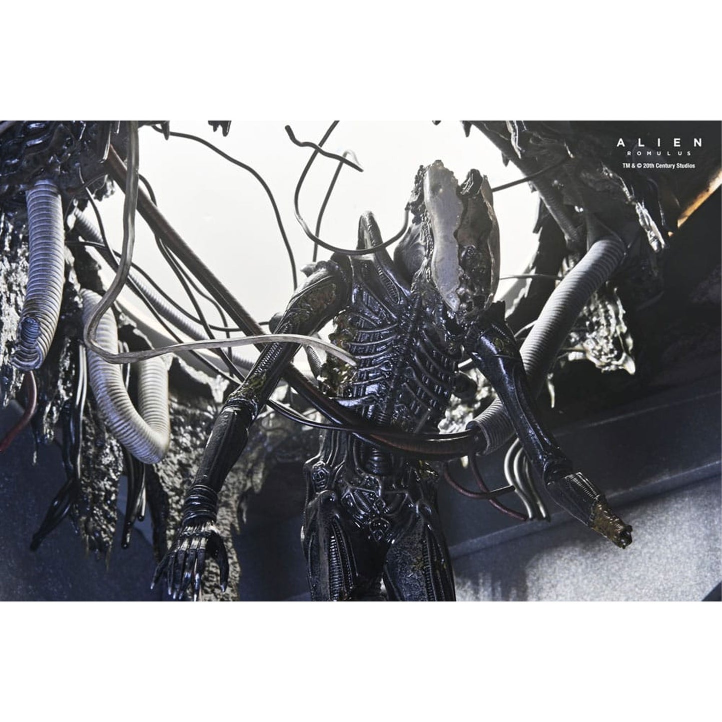 Alien: Romulus Action Figure Deluxe Suspended Lab Xenomorph XX121