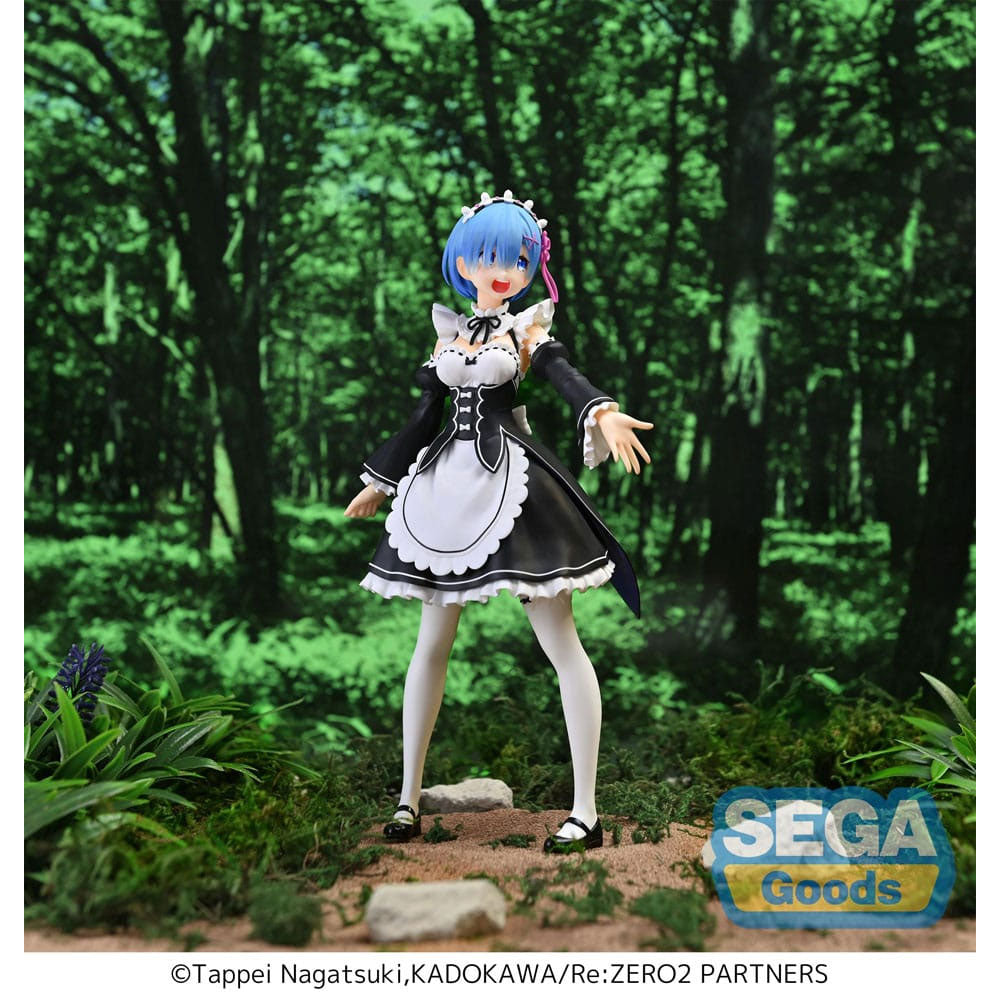 Re:Zero Starting Life in Another World Rem Salvation