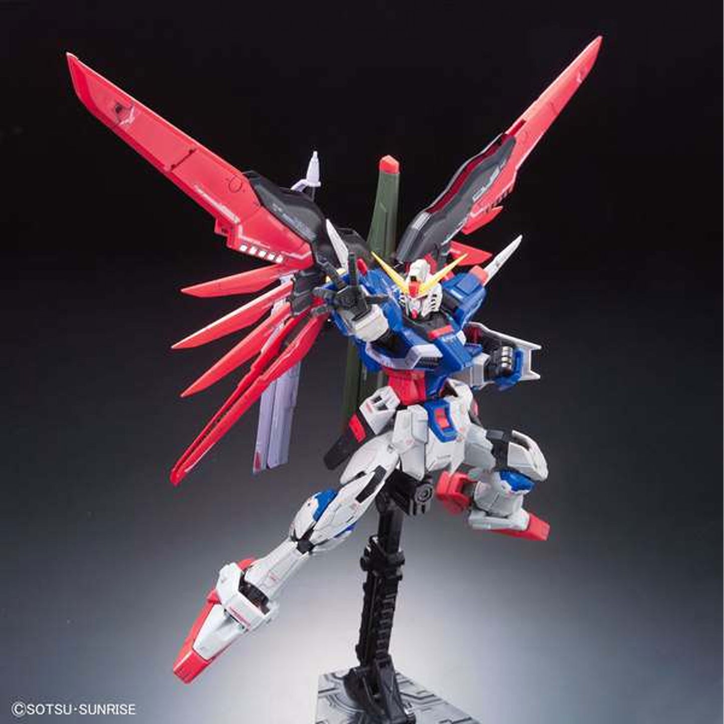 RG Gundam Destiny 1/144