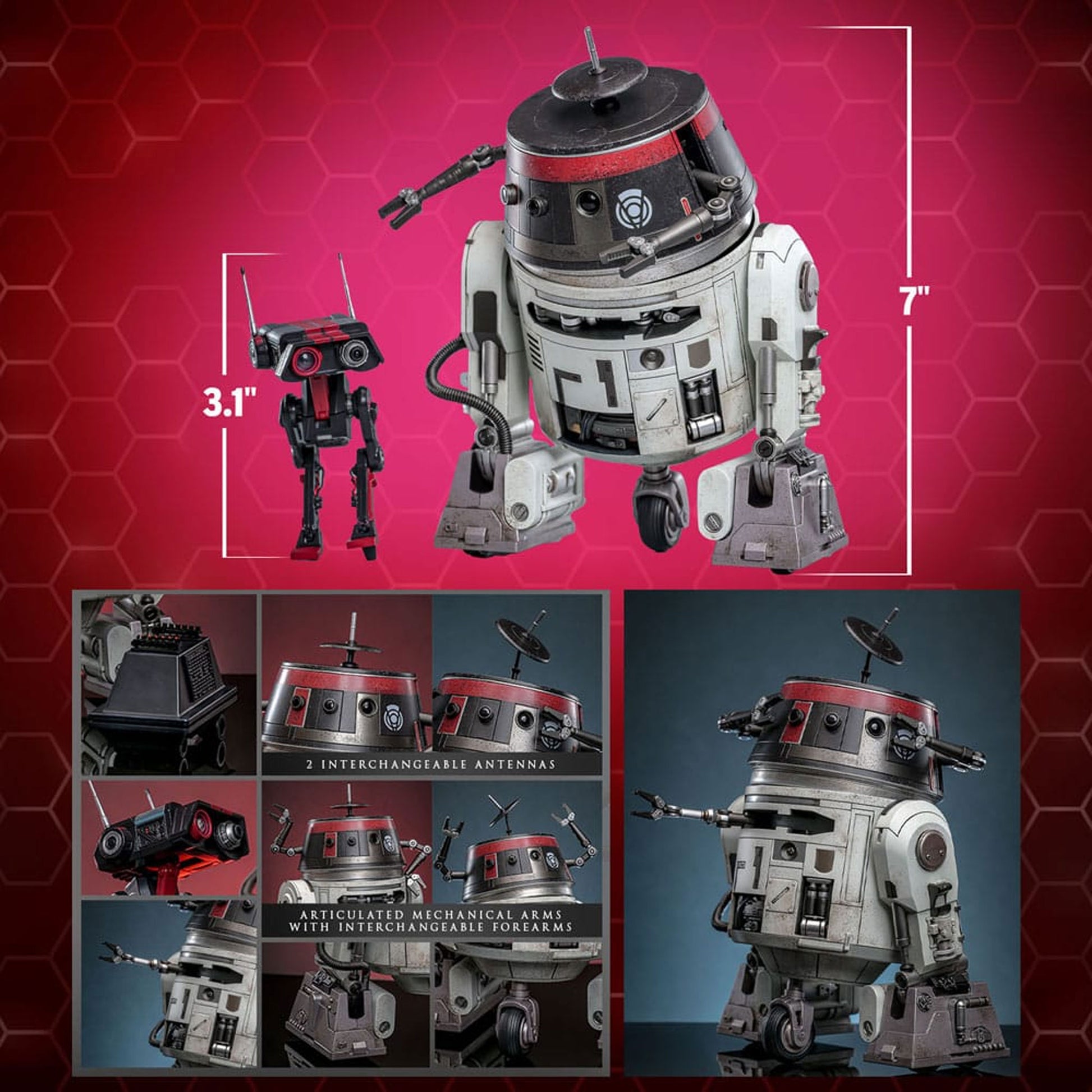 Star Wars Set 1/6 Chopper (C1-10P™) & BD-1™ (Imperial Disguise) -Action Figuuri