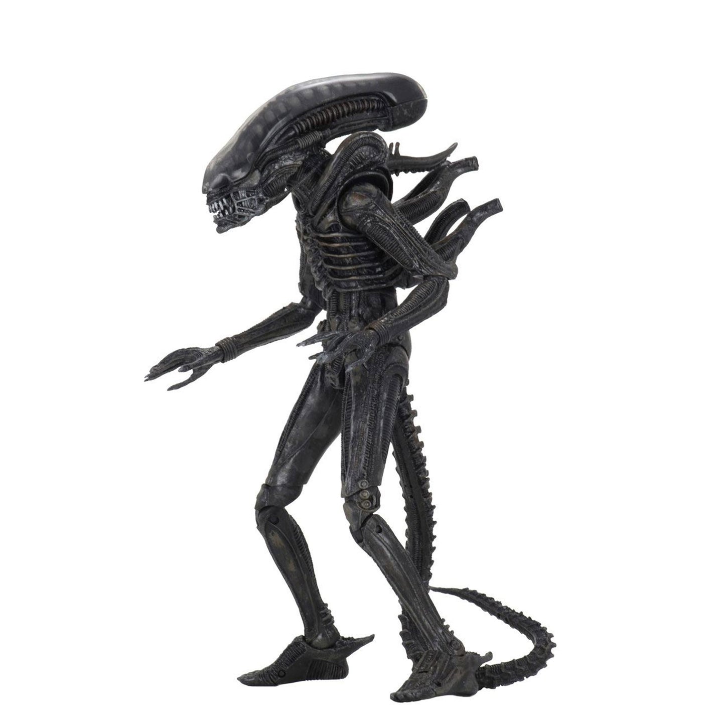 Alien 1979 Action Figure Ultimate 40th Anniversary Big Chap