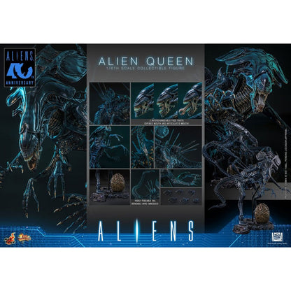 Alien 1/6 Alien Queen -Action Figure