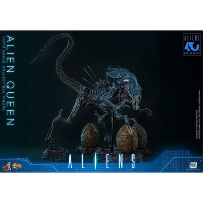 Alien 1/6 Alien Queen -Action Figure