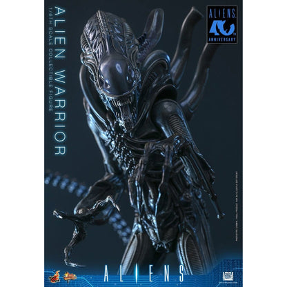 Alien Movie Masterpiece 1/6 Alien Warrior -Action Figure