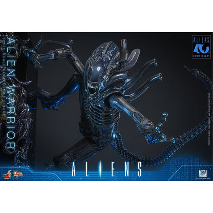 Alien Movie Masterpiece 1/6 Alien Warrior -Action Figure