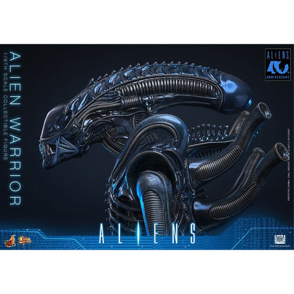 Alien Movie Masterpiece 1/6 Alien Warrior -Action Figure