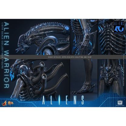 Alien Movie Masterpiece 1/6 Alien Warrior -Action Figure
