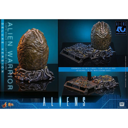Alien Movie Masterpiece 1/6 Alien Warrior (Deluxe Version) -Action Figure