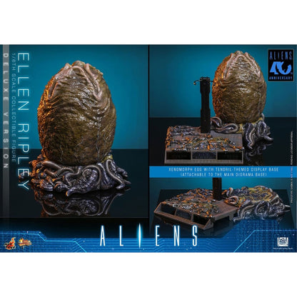 Alien Movie Masterpiece 1/6 Ellen Ripley (Deluxe Version) -Action Figure