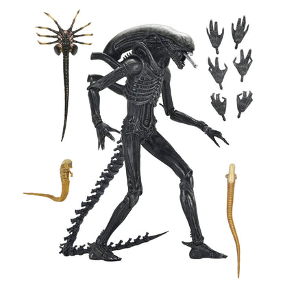 Alien: Romulus Ultimate Xenomorph XX121 -Action Figure