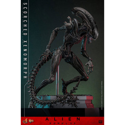 Alien: Romulus Movie Masterpiece 1/6 Scorched Xenomorph -Action Figure