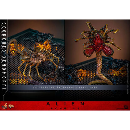 Alien: Romulus Movie Masterpiece 1/6 Scorched Xenomorph -Action Figure