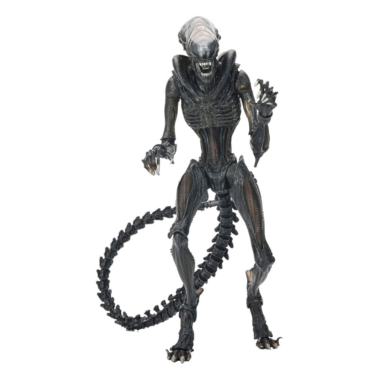 Alien: Romulus Ultimate Scorched Xenomorph