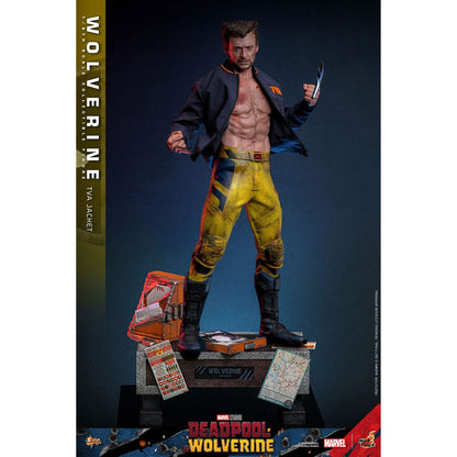 Deadpool & Wolverine Movie Masterpiece 1/6 Wolverine (TVA Jacket Version) -Action Figuuri