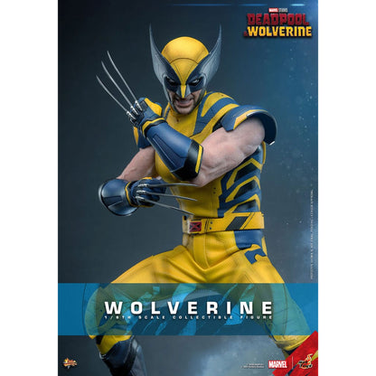Deadpool & Wolverine Movie Masterpiece 1/6 Wolverine  -Action Figure