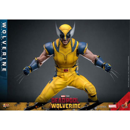 Deadpool & Wolverine Movie Masterpiece 1/6 Wolverine  -Action Figure