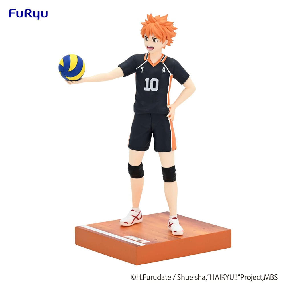 Haikyu!! Shoyo Hinata