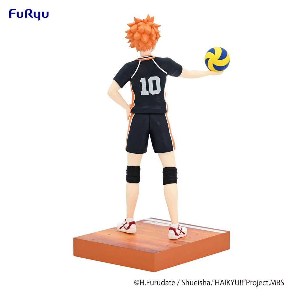 Haikyu!! Shoyo Hinata