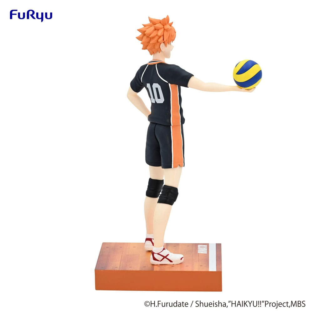 Haikyu!! Shoyo Hinata