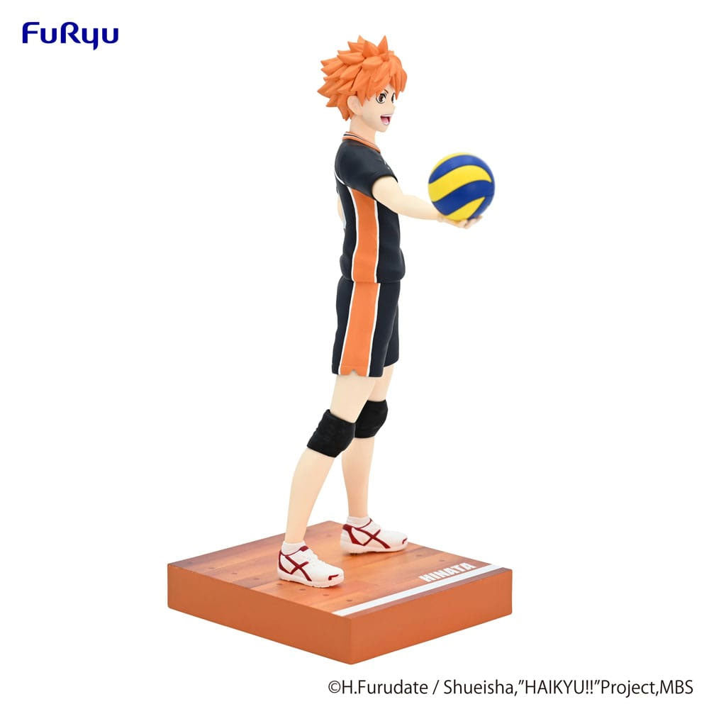 Haikyu!! Shoyo Hinata