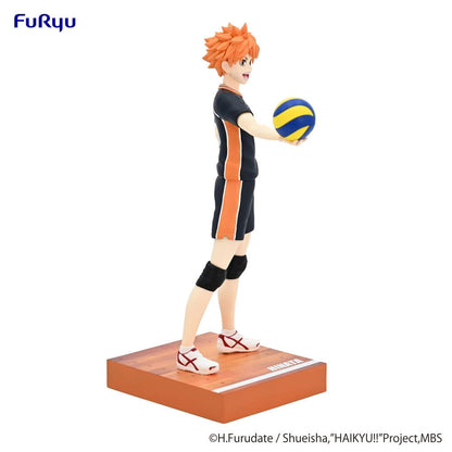 Haikyu!! Shoyo Hinata