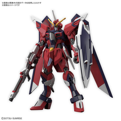 Hg Gundam Immortal Justice 1/144 -Model kit