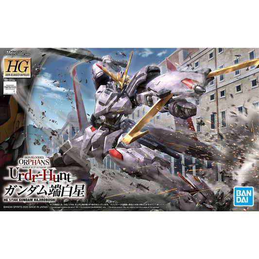 Hg gundam hajiroboshi 1/144