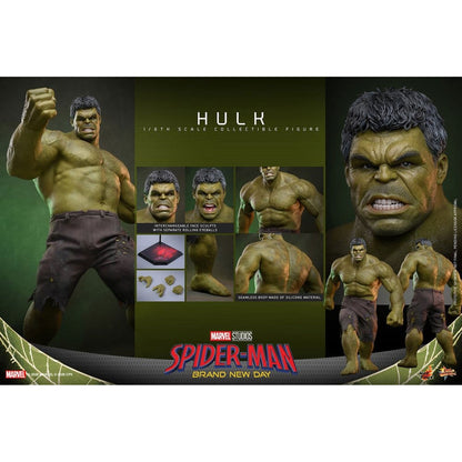 Marvel 1/6 Hulk -Action Figure