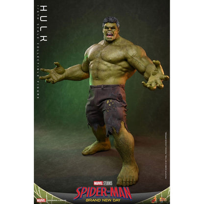 Marvel 1/6 Hulk -Action Figure