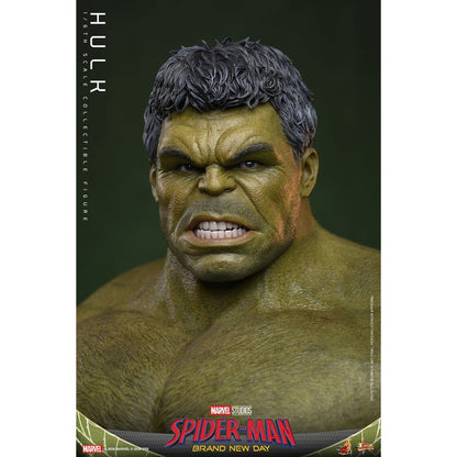 Marvel 1/6 Hulk -Action Figure