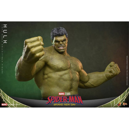 Marvel 1/6 Hulk -Action Figure