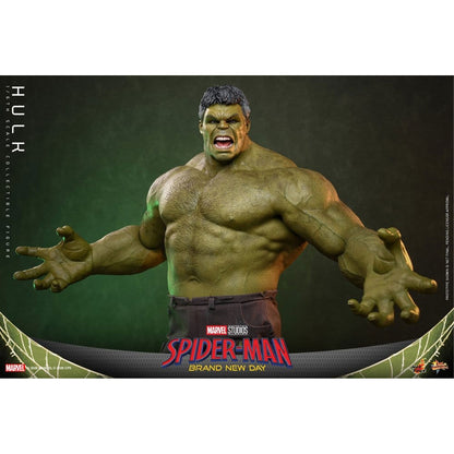 Marvel 1/6 Hulk -Action Figure