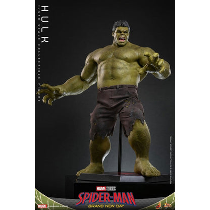 Marvel 1/6 Hulk -Action Figure