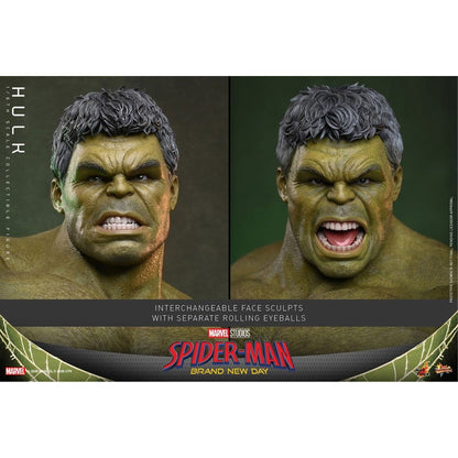 Marvel 1/6 Hulk -Action Figure
