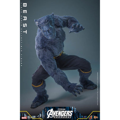 Marvel X-Men Movie Masterpiece 1/6 Beast (Collector Edition) -Action Figure