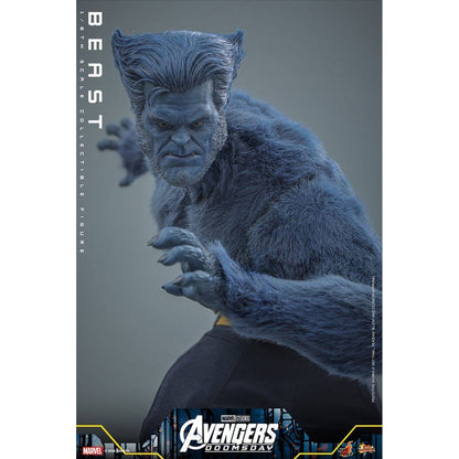 Marvel X-Men Movie Masterpiece 1/6 Beast (Collector Edition) -Action Figure