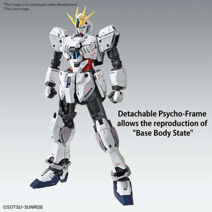 Mg Gundam Narrative C-packs Ver Ka 1/100 -Model Kit