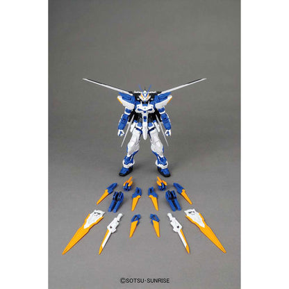 Mg Gundam Astray Blue Frame D 1/100 -Model kit