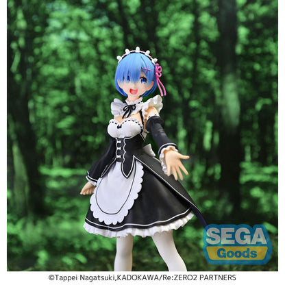 Re:Zero Starting Life in Another World Rem Salvation