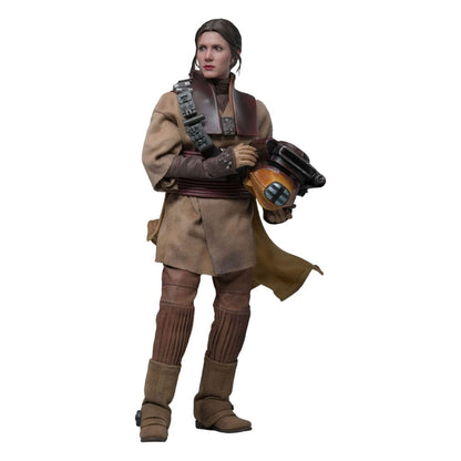 Star Wars Episode VI Movie Masterpiece 1/6 Leia Organa (Boushh Disguise) -Action Figure