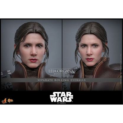 Star Wars Episode VI Movie Masterpiece 1/6 Leia Organa (Boushh Disguise) -Action Figure