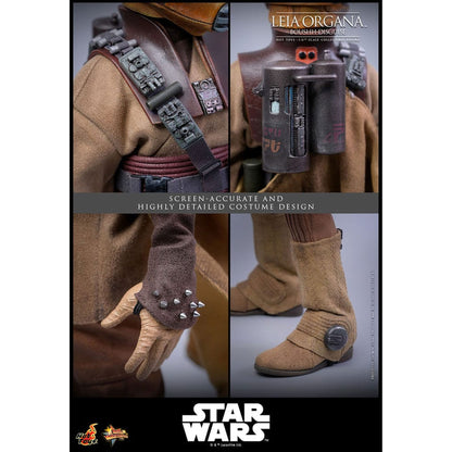 Star Wars Episode VI Movie Masterpiece 1/6 Leia Organa (Boushh Disguise) -Action Figure