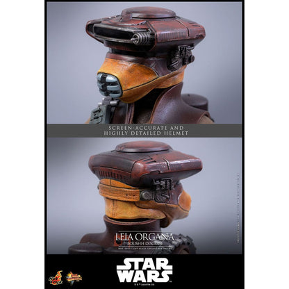 Star Wars Episode VI Movie Masterpiece 1/6 Leia Organa (Boushh Disguise) -Action Figure