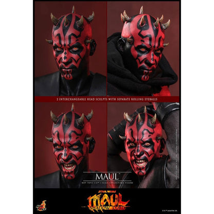 Star Wars: Maul - Shadow Lord Television Masterpiece 1/6 Maul -Action Figure