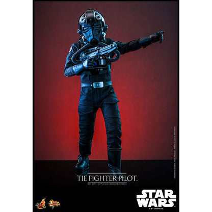 Star Wars Movie Masterpiece Action Figure 1/6 TIE fighter Pilot