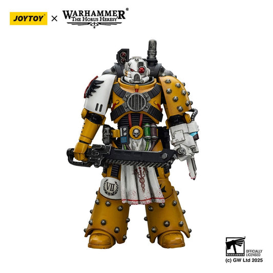 Warhammer 40,000: Imperial Fists Legion Apothecary -Action Figure